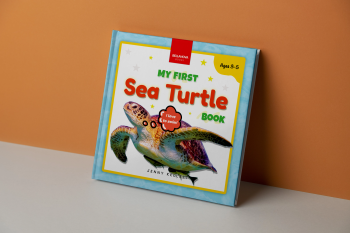 sea turtle picture book