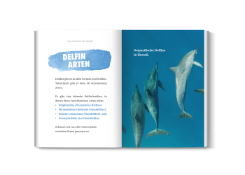 Kind liest ein Buch über Delfine und lächelt begeistert