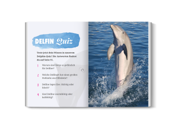 Quiz- und Wortsuche-Seite aus dem Delfinbuch für Kinder