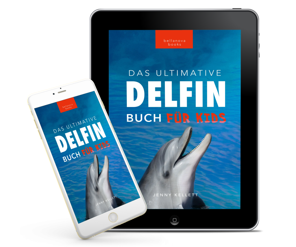 Hochwertiges Foto eines springenden Delfins im Meer