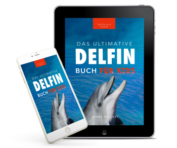 Hochwertiges Foto eines springenden Delfins im Meer