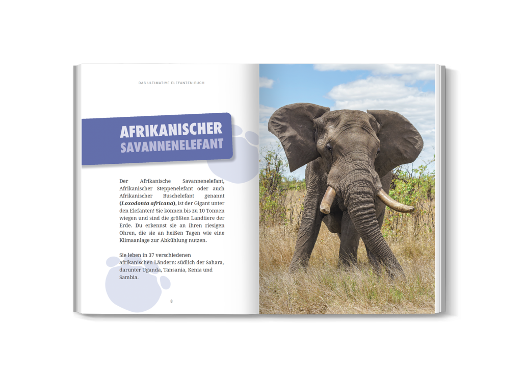 Kind liest begeistert ein Elefantenbuch mit großen Fotos