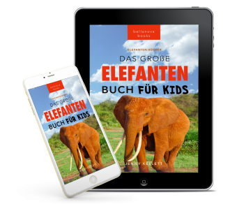 Nahaufnahme eines Elefanten im natürlichen Lebensraum