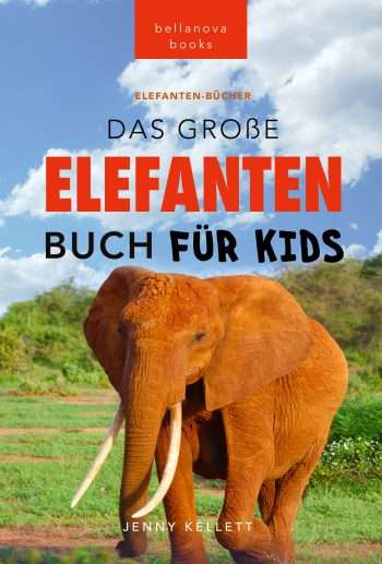 elefanten buch kinder