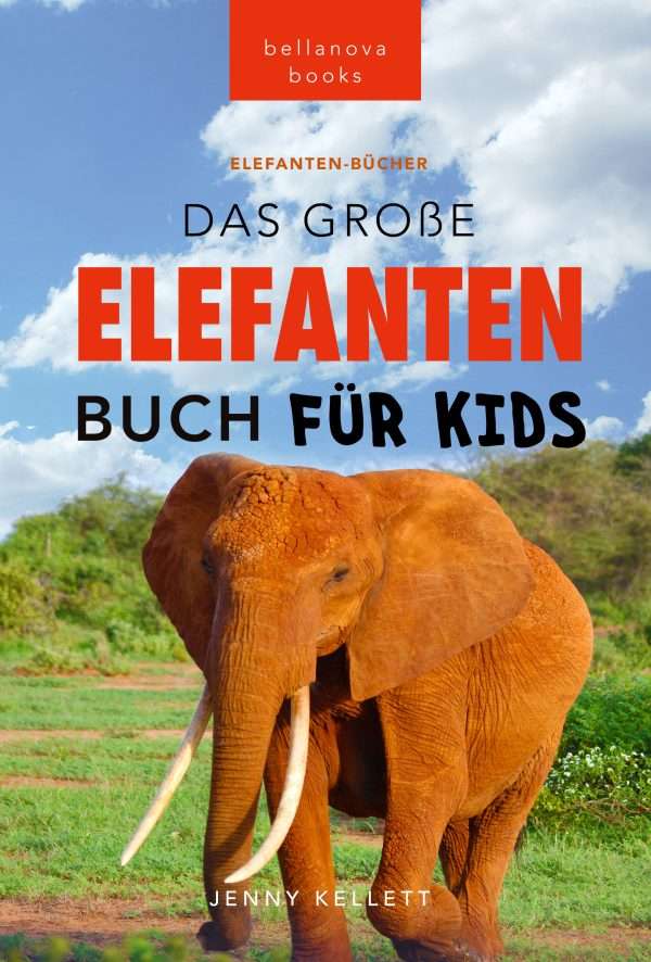 elefanten buch kinder