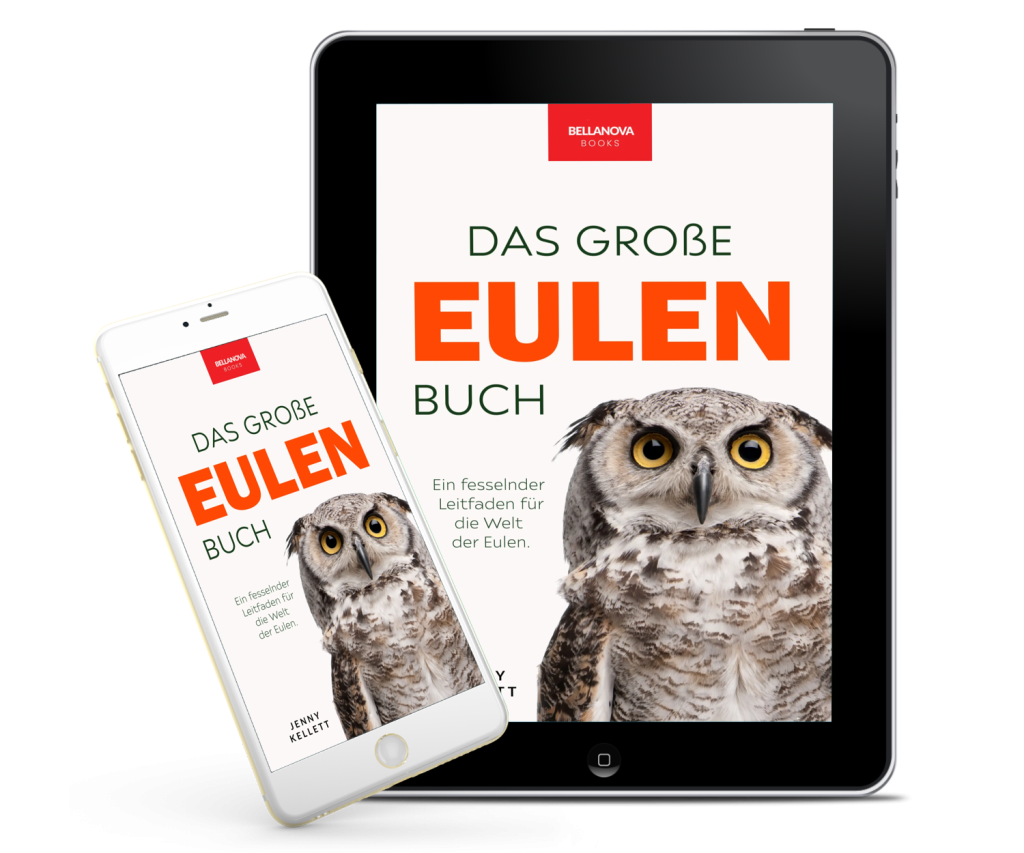 Tablet-Mockup mit Eulenbuch-Cover