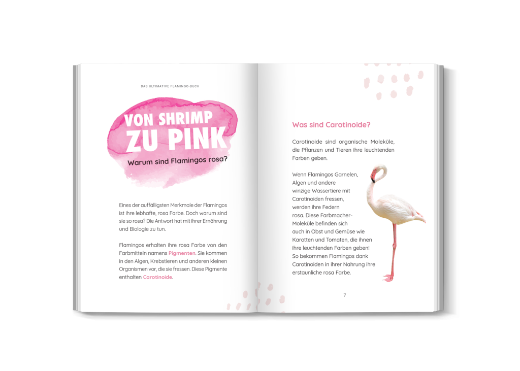 Kinder leben das Flamingobuch mit leuchtenden Illustrationen