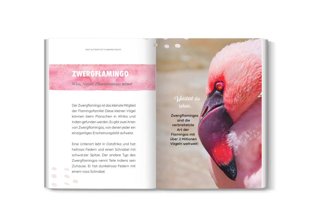 Detailseite aus dem Buch mit Flamingo