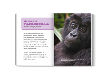 gorillaarten für kinder