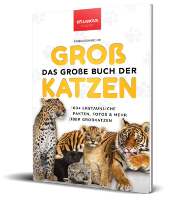 3D-Buchcover von Das Große Buch der Großkatzen, Kinderbuch über Raubkatzen