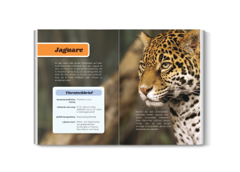 Innenansicht von Jaguare-fakten