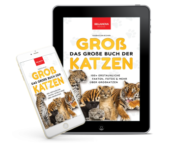 E-Book-Cover von Das Große Buch der Großkatzen auf Tablet-Mockup