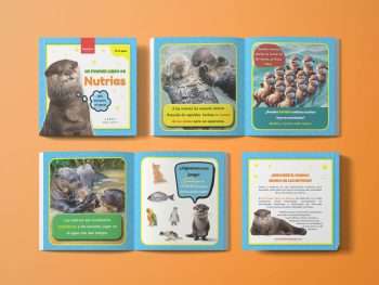 libro de nutrias para niños