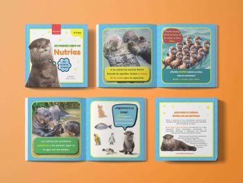 libro de nutrias para niños