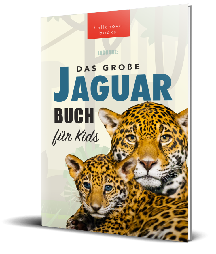 das ultimative jaguarbuch für kids
