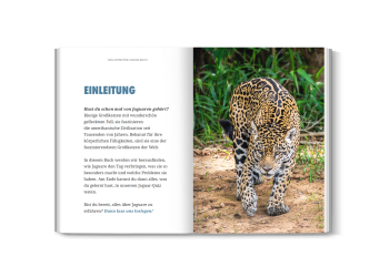 jaguarbuch für kinder