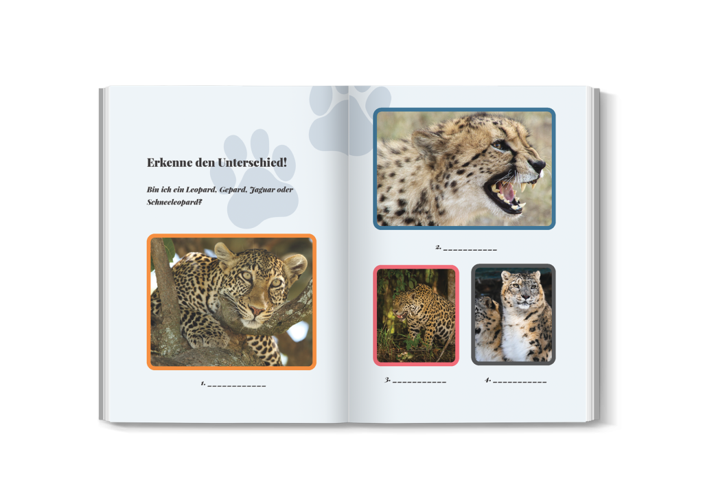 jaguarquiz für kinder