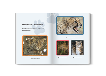 jaguarquiz für kinder