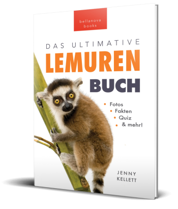 Cover des Lemurenbuchs für Kinder mit über 100 spannenden Fakten