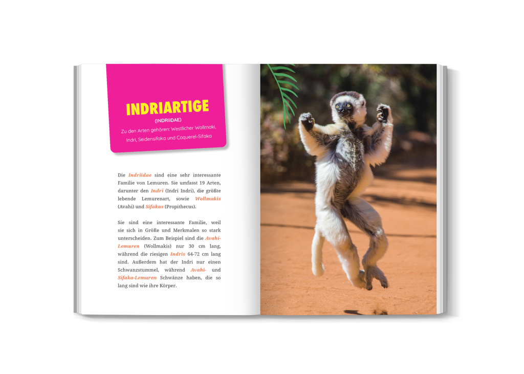 Kind liest Das Ultimative Lemuren-Buch mit tollen Fotos