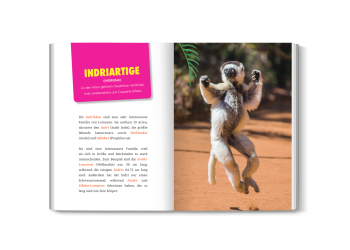 Kind liest Das Ultimative Lemuren-Buch mit tollen Fotos