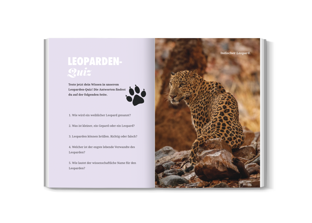 leoparden quiz für kinder