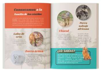 El libro definitivo del lobo para niños - Image 3
