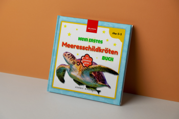 meeresschildkroetenbuch