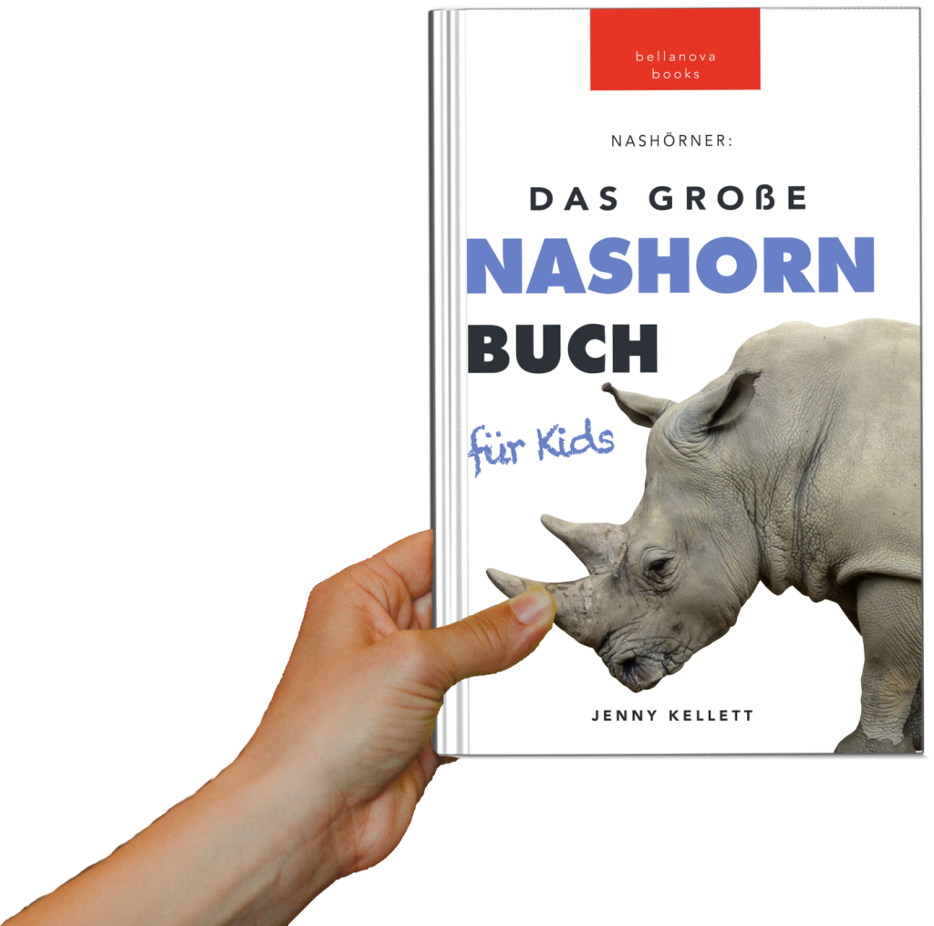 das große nashornbuch für kids in hande