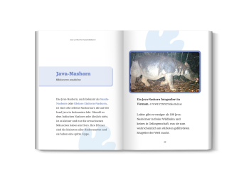 das große nashornbuch arten