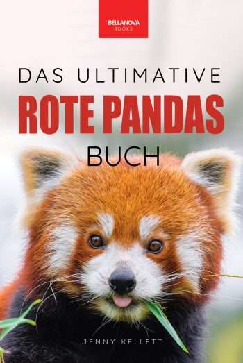 rote pandas buch kinder