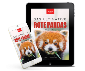 rotepanda buch für kids jenny kellett