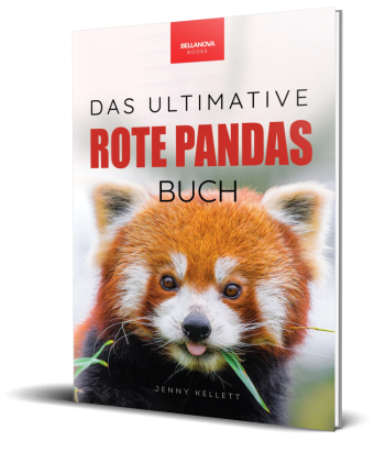 Buchcover von „Rote Pandas: Das ultimative Buch“ mit niedlichem Panda