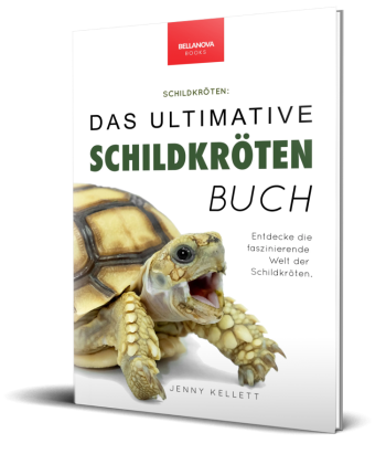 Cover des Schildkrötenbuchs für Kinder in 3D-Ansicht
