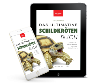 Mockup des E-Books „Schildkröten: Das ultimative Schildkröten-Buch“ auf einem Tablet