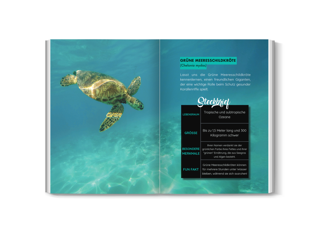 Innenansicht mit Schildkrötenfoto und Beispielseite aus dem Buch