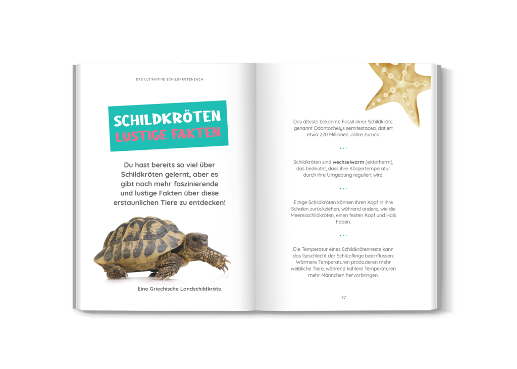 Quiz- und Wortsuchseite aus dem Schildkrötenbuch für Kinder