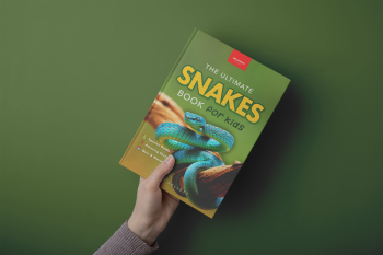 facts about snakes for kids