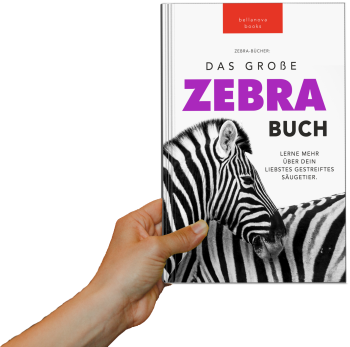 zebrabuch für kinder