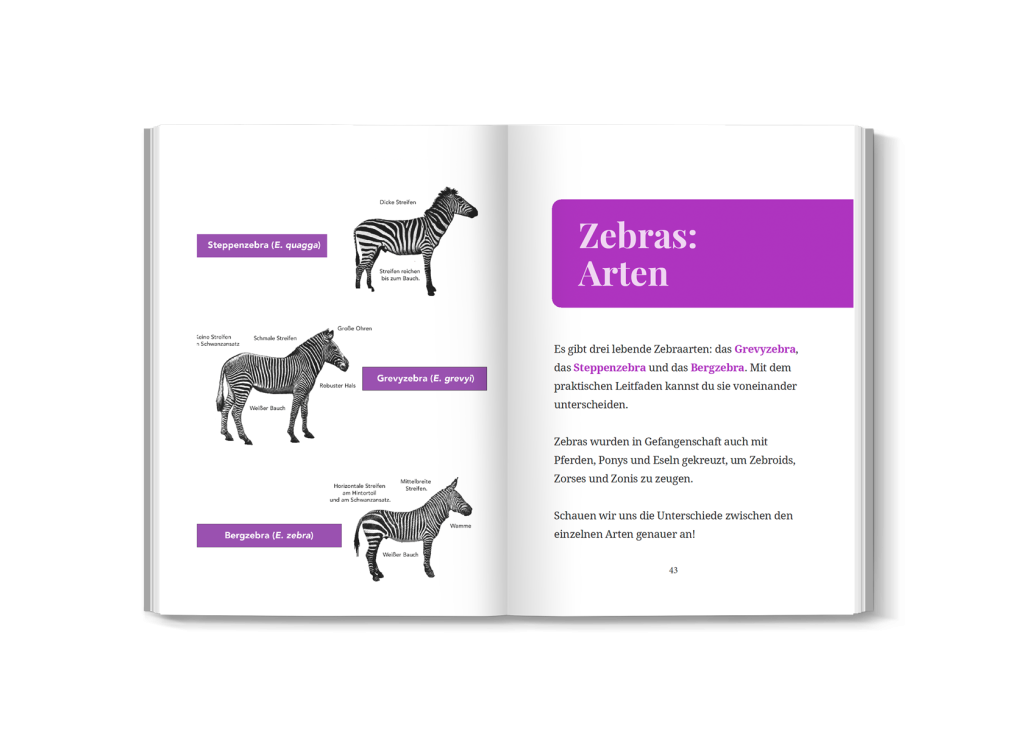 zebraarten