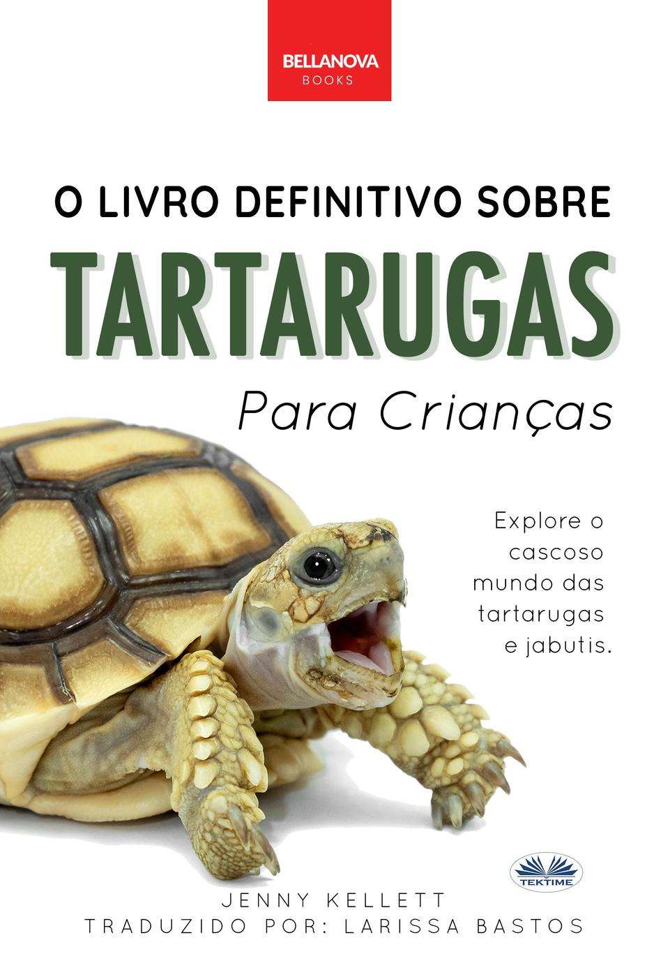 Tartarugas Para Crianças