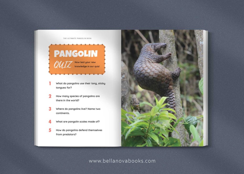 Inside pages showing fun facts and colorful photos about pangolins for kids.