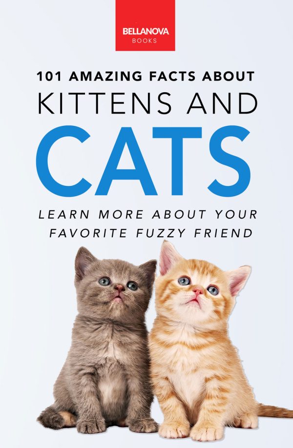 kitten and cat facts for kids