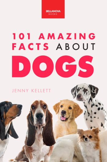 dog facts for kids