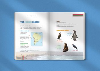 Inside pages of The Ultimate Booby Book for Kids showing fun facts and colorful photos about booby birds.