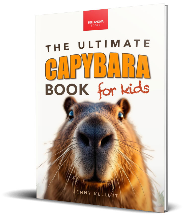 capybara book for kids jenny kellett