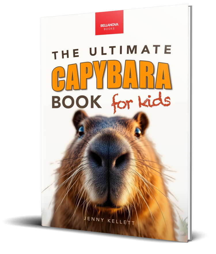 capybara book for kids jenny kellett