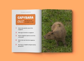 Inside look at The Ultimate Capybara Book for Kids showing capybara facts and photos