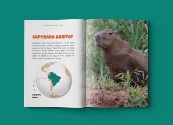 Inside look at The Ultimate Capybara Book for Kids showing capybara facts and photos