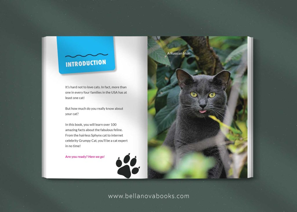 introduction to amazing cat facts book